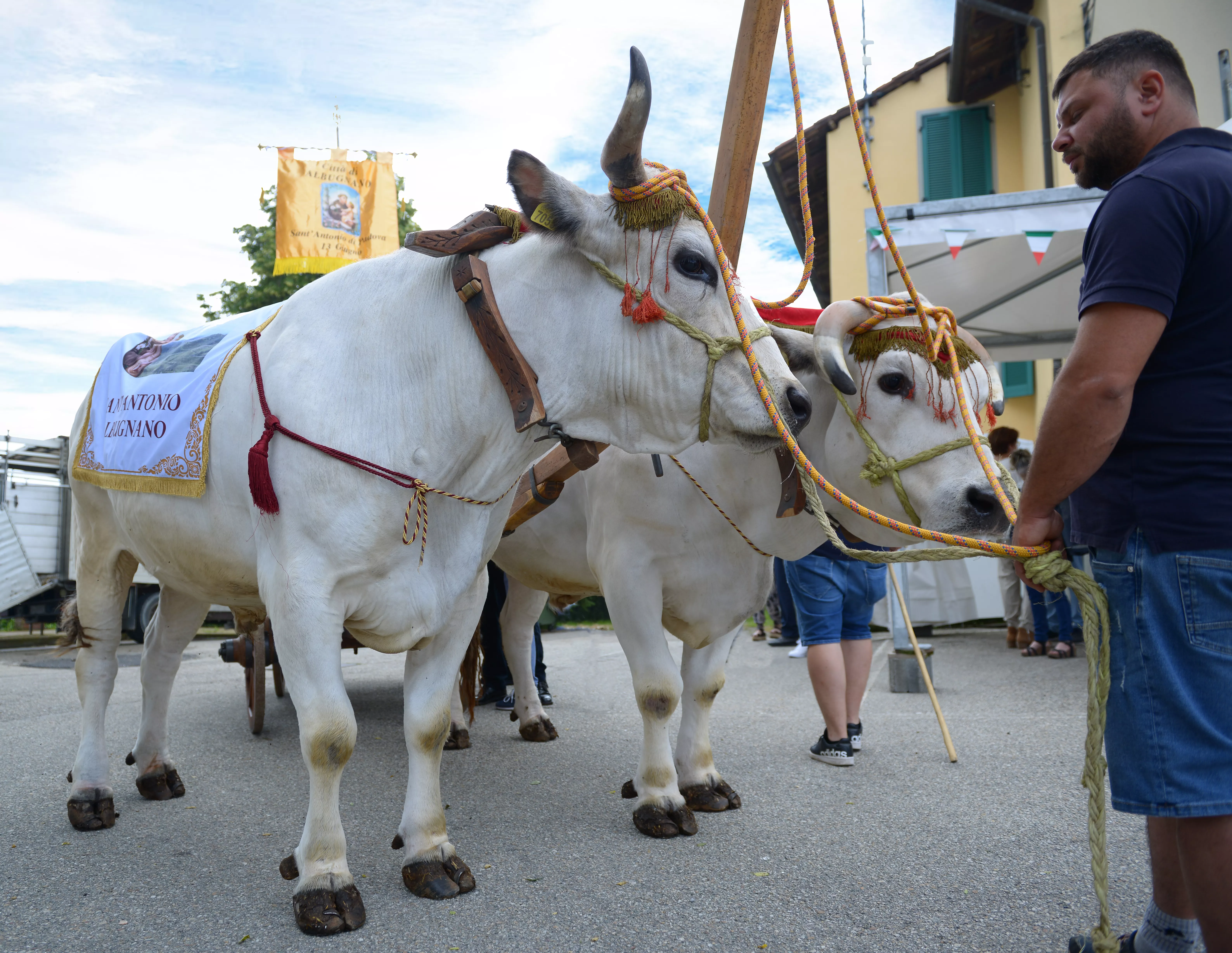 Un'immagine generica segnaposto con angoli arrotondati in una figura.